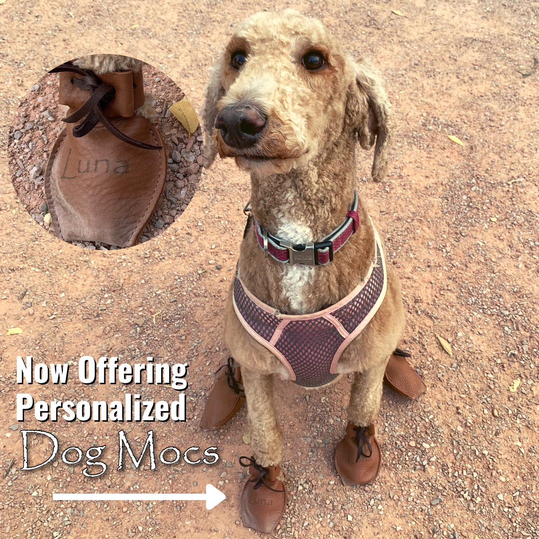 customize your dog mocs