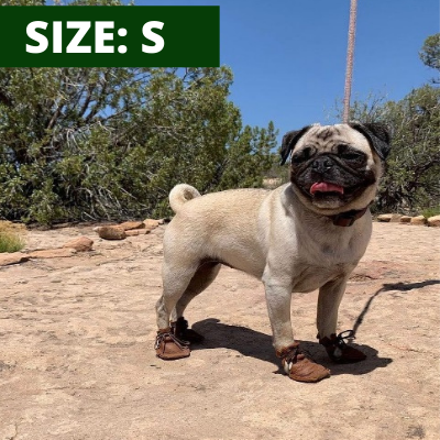 dog mocs size s