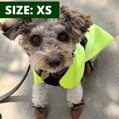 dog mocs size xs